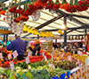 Venice Food, Wine and Cultural Tour